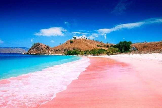 pantai pink