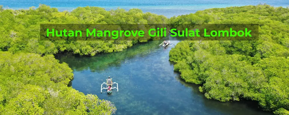 Hutan Mangrove Gili Sulat Lombok